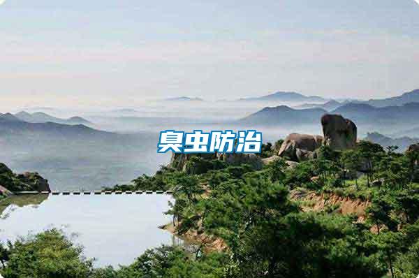 臭蟲(chóng)防治
