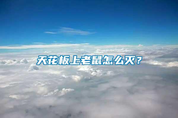 天花板上老鼠怎么滅？