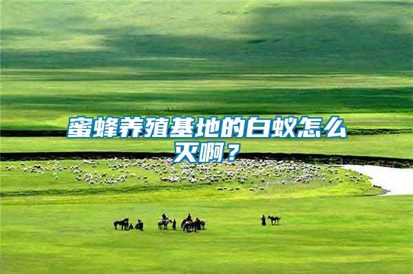 蜜蜂養(yǎng)殖基地的白蟻怎么滅??？