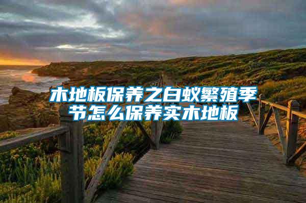 木地板保養(yǎng)之白蟻繁殖季節(jié)怎么保養(yǎng)實(shí)木地板