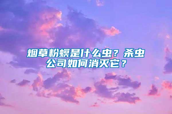 煙草粉螟是什么蟲？殺蟲公司如何消滅它？