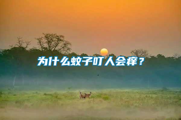 為什么蚊子叮人會(huì)癢？