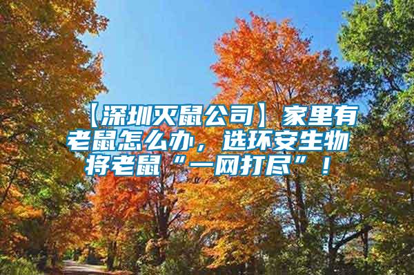 【深圳滅鼠公司】家里有老鼠怎么辦，選環(huán)安生物將老鼠“一網(wǎng)打盡”！