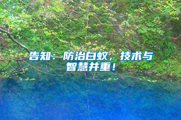 告知：防治白蟻，技術(shù)與智慧并重！