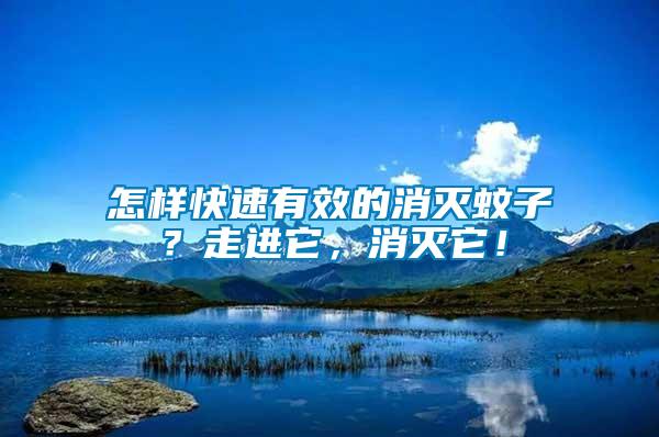 怎樣快速有效的消滅蚊子？走進它，消滅它！