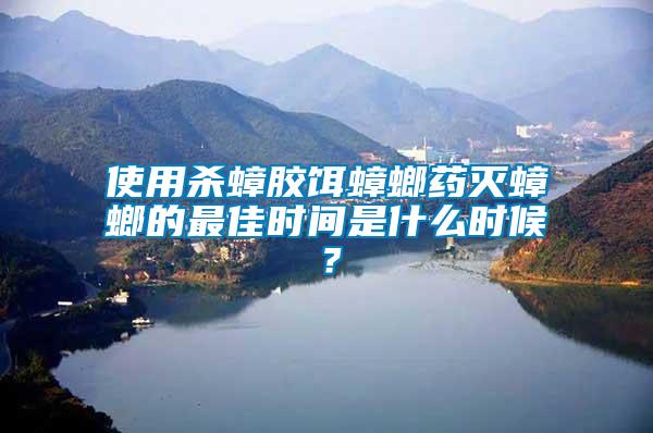 使用殺蟑膠餌蟑螂藥滅蟑螂的最佳時(shí)間是什么時(shí)候？