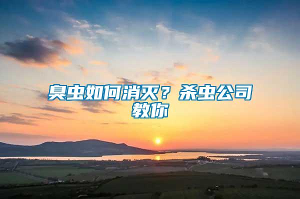 臭蟲如何消滅？殺蟲公司教你