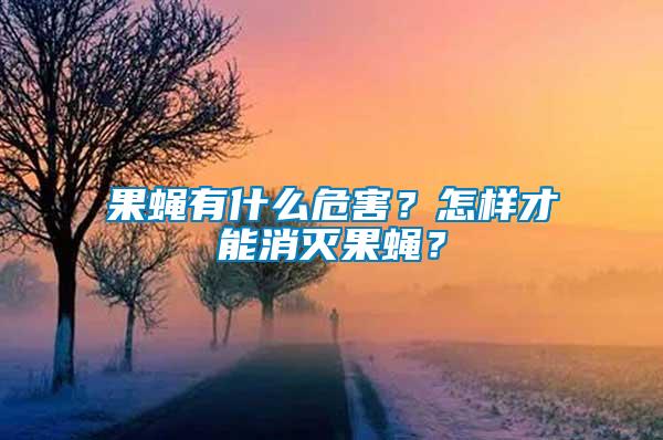 果蠅有什么危害？怎樣才能消滅果蠅？
