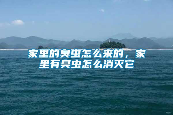 家里的臭蟲怎么來(lái)的，家里有臭蟲怎么消滅它