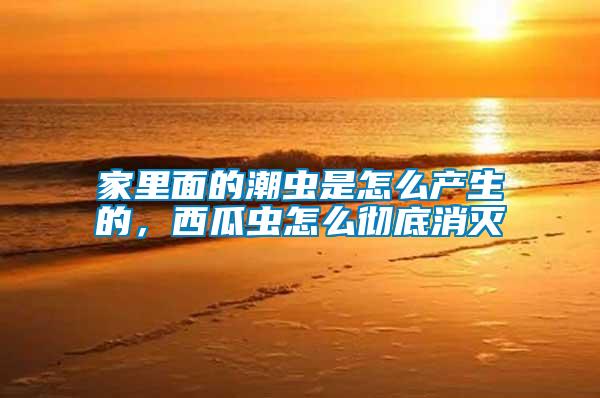 家里面的潮蟲(chóng)是怎么產(chǎn)生的，西瓜蟲(chóng)怎么徹底消滅
