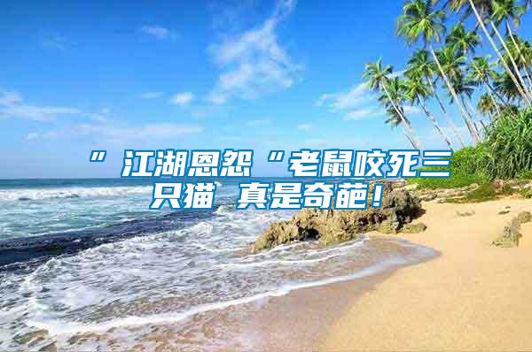 ”江湖恩怨“老鼠咬死三只貓 真是奇葩！