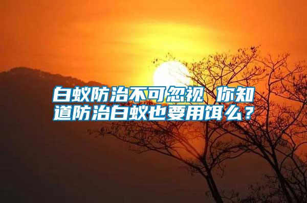 白蟻防治不可忽視 你知道防治白蟻也要用餌么？