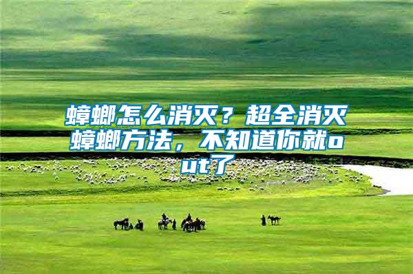 蟑螂怎么消滅？超全消滅蟑螂方法，不知道你就out了