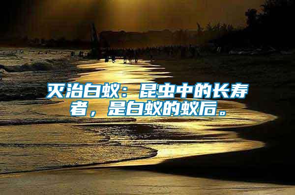 滅治白蟻：昆蟲中的長壽者，是白蟻的蟻后。