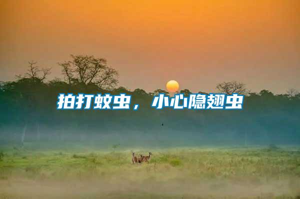 拍打蚊蟲，小心隱翅蟲