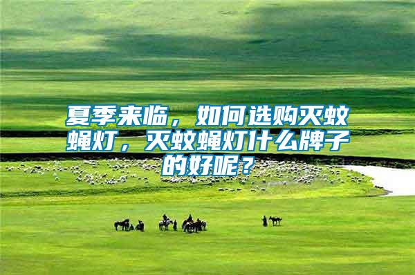 夏季來臨，如何選購滅蚊蠅燈，滅蚊蠅燈什么牌子的好呢？