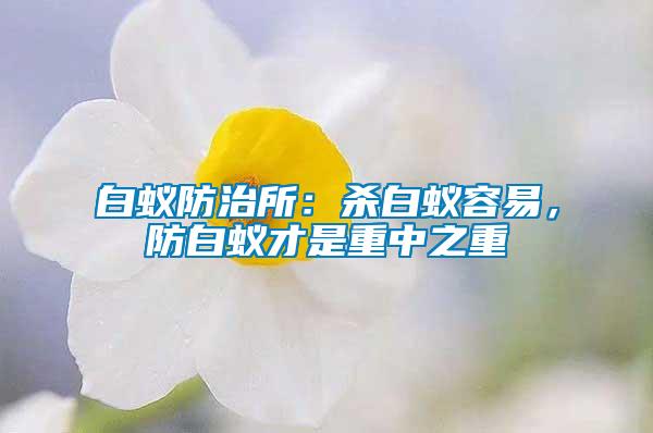 白蟻防治所：殺白蟻容易，防白蟻才是重中之重