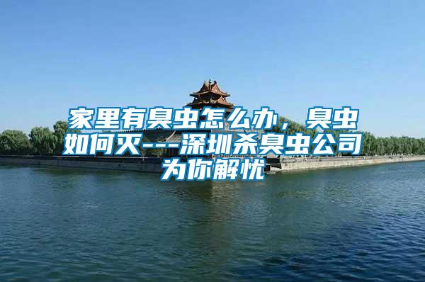 家里有臭蟲怎么辦，臭蟲如何滅---深圳殺臭蟲公司為你解憂