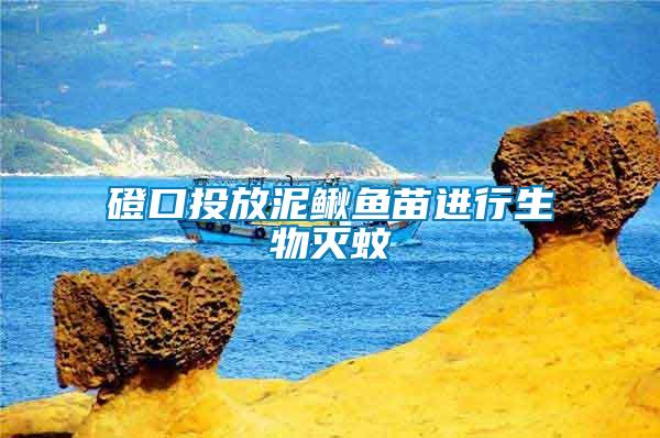 磴口投放泥鰍魚苗進行生物滅蚊