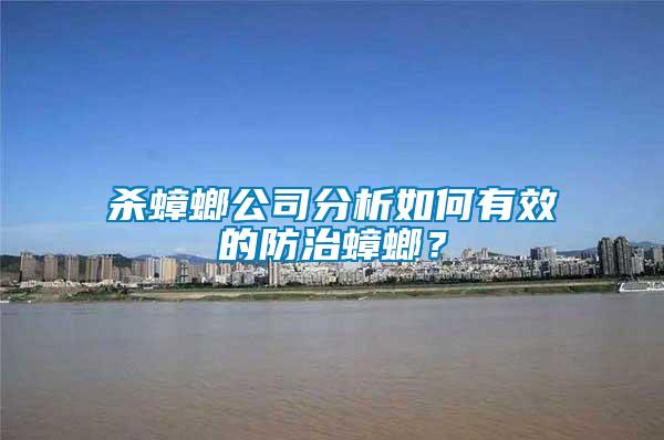 殺蟑螂公司分析如何有效的防治蟑螂？