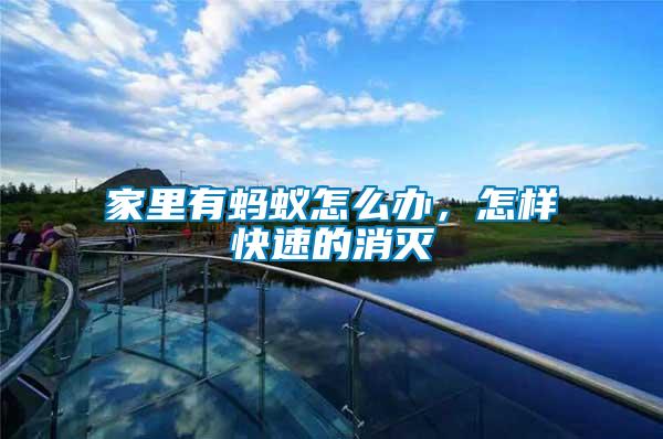 家里有螞蟻怎么辦，怎樣快速的消滅