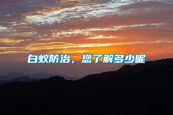 白蟻防治，您了解多少呢