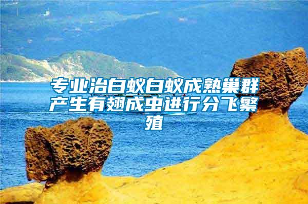 專業(yè)治白蟻白蟻成熟巢群產生有翅成蟲進行分飛繁殖
