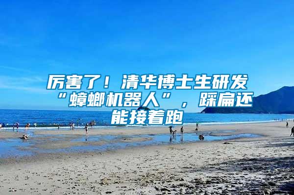 厲害了！清華博士生研發(fā)“蟑螂機(jī)器人”，踩扁還能接著跑