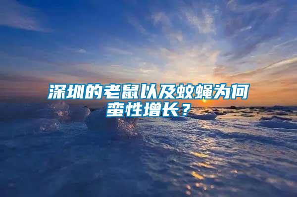 深圳的老鼠以及蚊蠅為何蠻性增長(zhǎng)？