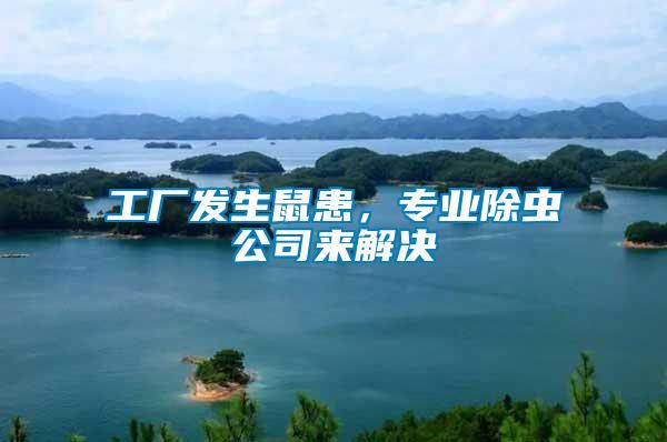 工廠發(fā)生鼠患，專業(yè)除蟲公司來解決
