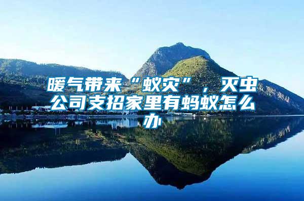 暖氣帶來“蟻災(zāi)”，滅蟲公司支招家里有螞蟻怎么辦
