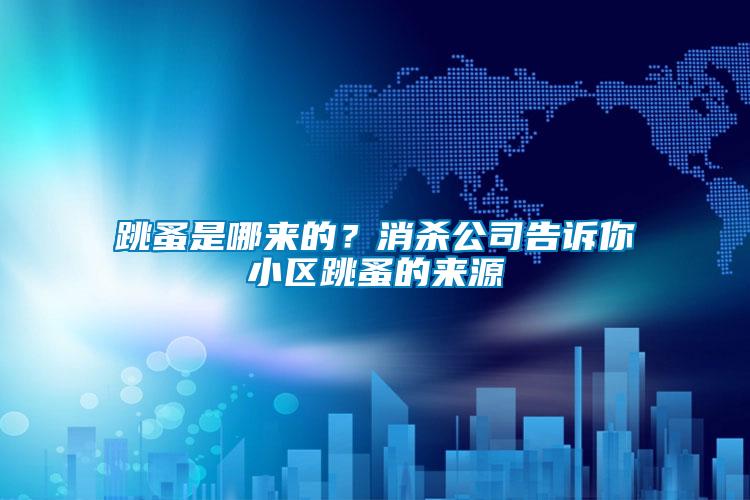 跳蚤是哪來的？消殺公司告訴你小區(qū)跳蚤的來源