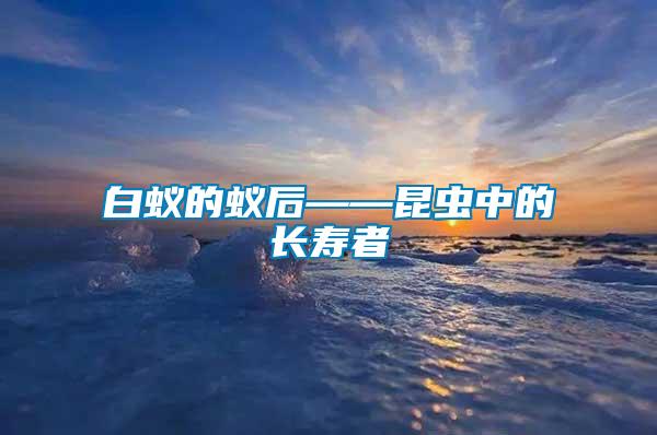 白蟻的蟻后——昆蟲(chóng)中的長(zhǎng)壽者