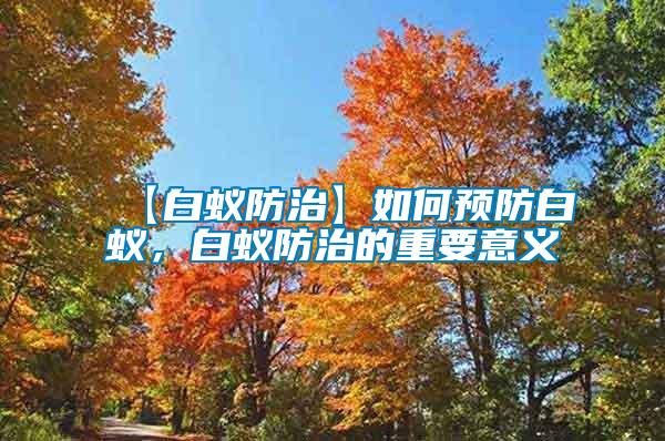 【白蟻防治】如何預(yù)防白蟻，白蟻防治的重要意義