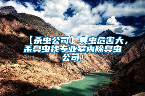 【殺蟲(chóng)公司】臭蟲(chóng)危害大，殺臭蟲(chóng)找專業(yè)室內(nèi)除臭蟲(chóng)公司！