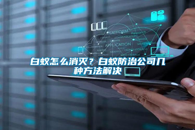白蟻怎么消滅？白蟻防治公司幾種方法解決