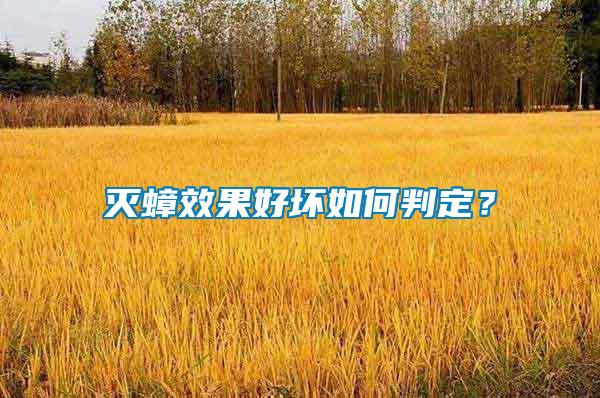 滅蟑效果好壞如何判定？