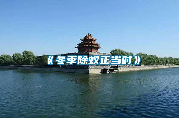 《冬季除蟻正當(dāng)時》