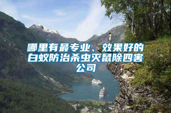 哪里有最專業(yè)、效果好的白蟻防治殺蟲滅鼠除四害公司
