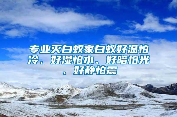 專業(yè)滅白蟻家白蟻好溫怕冷、好濕怕水、好暗怕光、好靜怕震