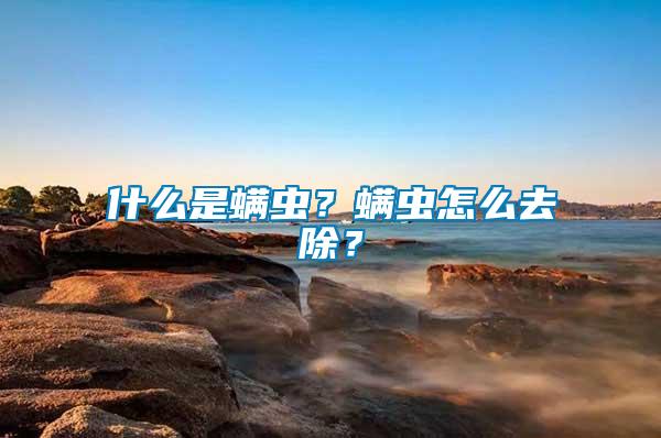 什么是螨蟲？螨蟲怎么去除？