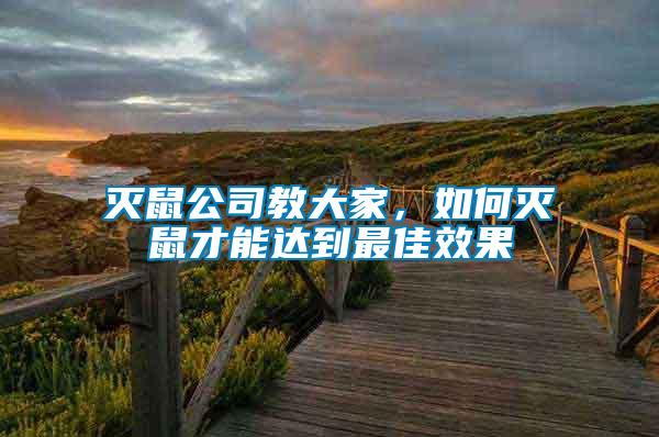 滅鼠公司教大家，如何滅鼠才能達到最佳效果