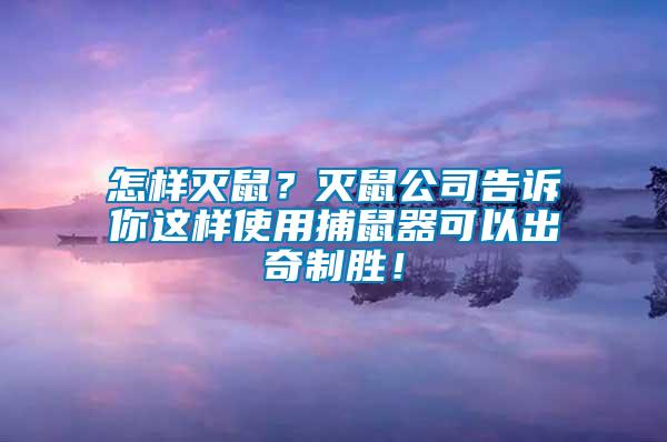 怎樣滅鼠？滅鼠公司告訴你這樣使用捕鼠器可以出奇制勝！