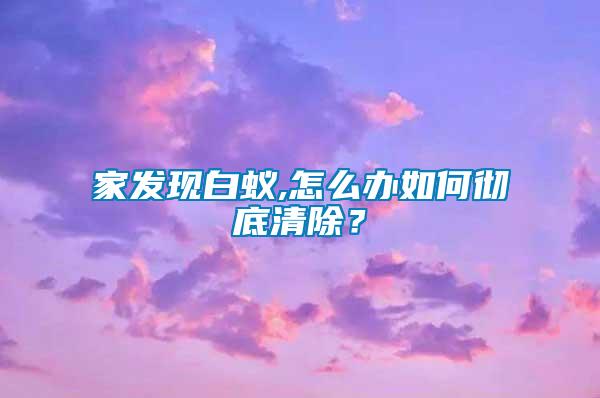 家發(fā)現(xiàn)白蟻,怎么辦如何徹底清除？