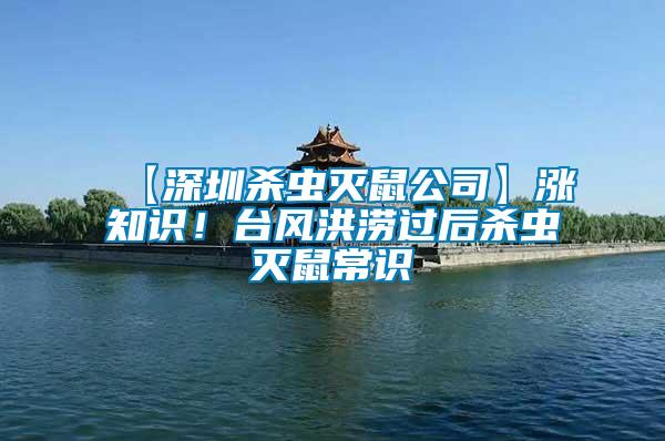 【深圳殺蟲滅鼠公司】漲知識！臺風(fēng)洪澇過后殺蟲滅鼠常識