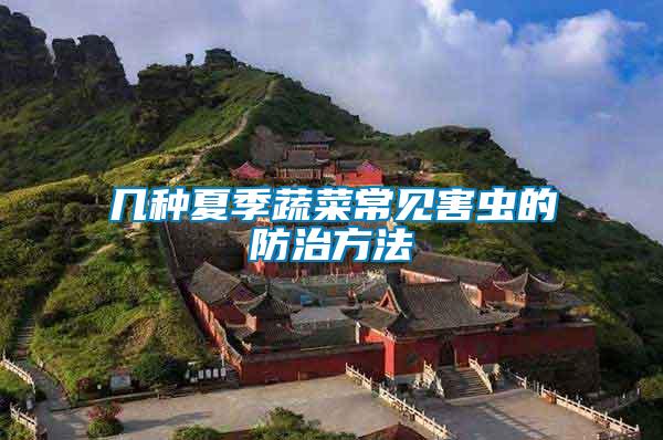 幾種夏季蔬菜常見(jiàn)害蟲(chóng)的防治方法