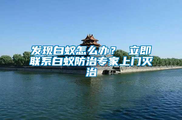發(fā)現(xiàn)白蟻怎么辦？ 立即聯(lián)系白蟻防治專家上門滅治