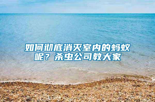 如何徹底消滅室內(nèi)的螞蟻呢？殺蟲(chóng)公司教大家