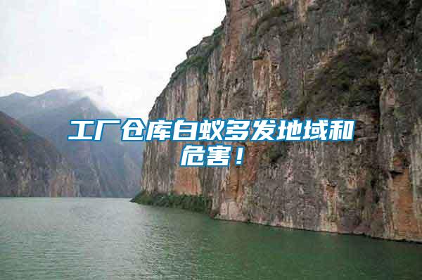 工廠倉庫白蟻多發(fā)地域和危害！
