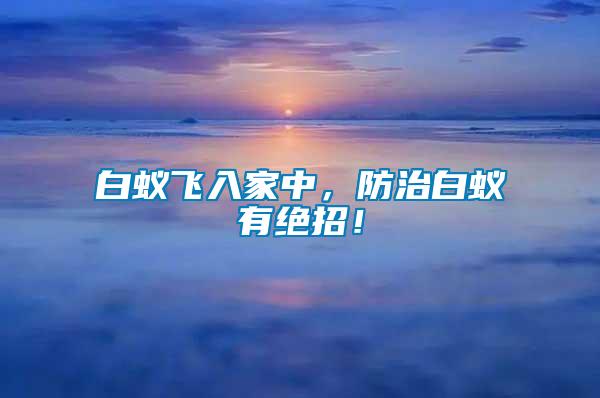 白蟻飛入家中，防治白蟻有絕招！